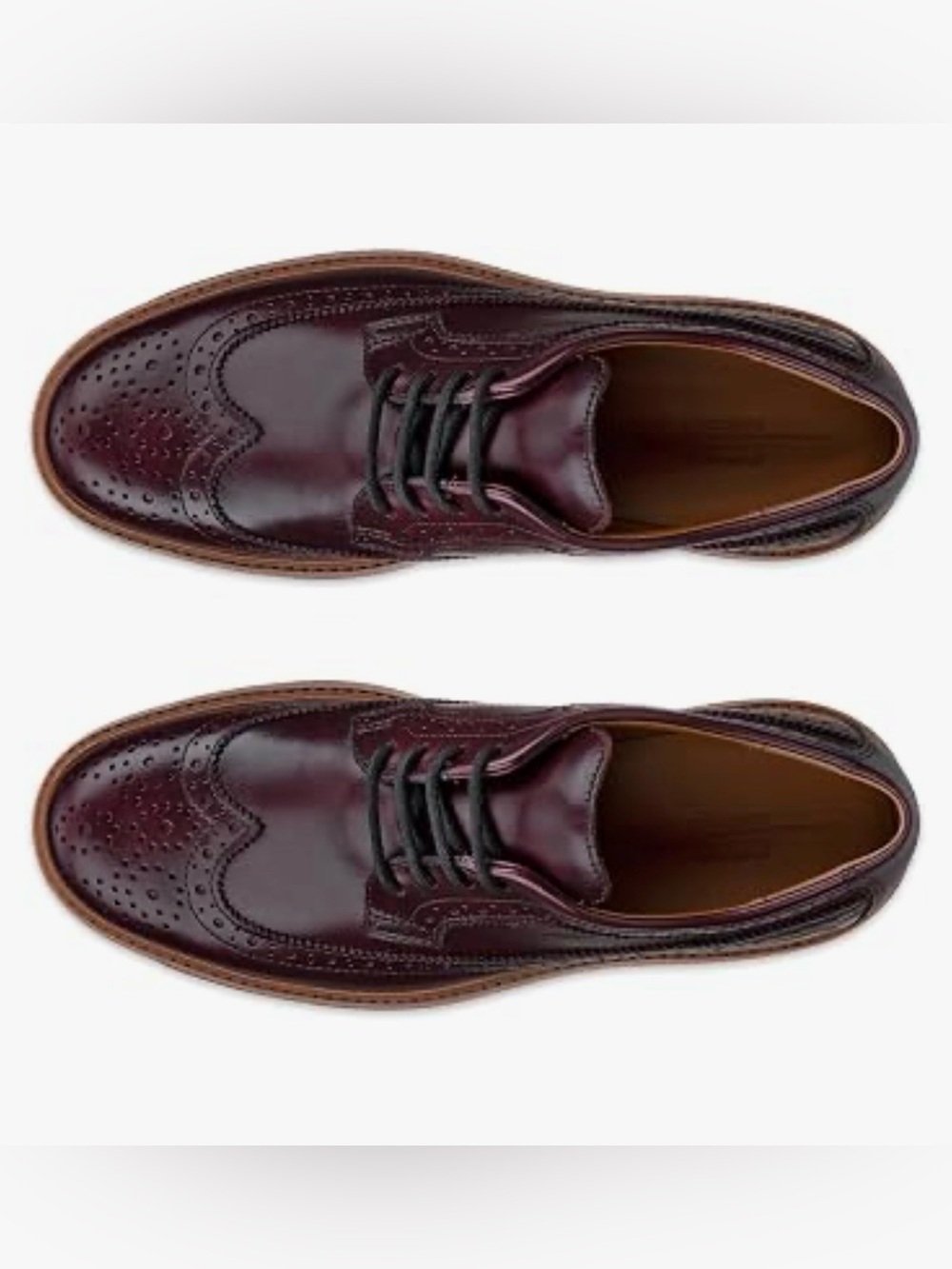 ECCO Women’s Oslo Wingtip Leather Oxford Shoes Burgundy – EU 39 / US 8–8.5